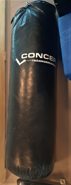 Boxsäck i konstläder - Boxsäck och ny Ribbstol (2).JPG