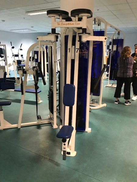 Rear delt-Pec dec flyes CL Fitness - Rear delt-Pec dec flyes CL Fitness.jpg