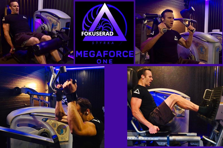 Martin Maximus Börjesson jämför fördelar och nackdelar med Personlig Träning på allmänna gym som SATS, Nordic Wellness, STC, Actic. Fitness24Seven.