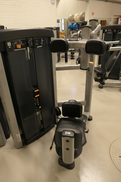 Rotary Torso-Midjerotator Insignia LifeFitness - Life-Fitness-Insignia-Torso-rotator-1-scaled.jpg