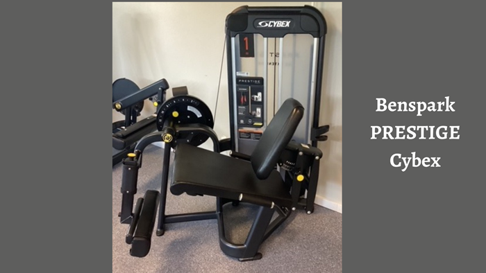 Benspark VR3 Cybex - Benspark PRESTIGE Cybex.png