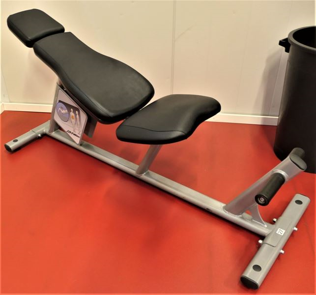 Magbänk Signature Life Fitness - life-fitness-back-extension-från-f-s-skara-2-scaled.jpeg