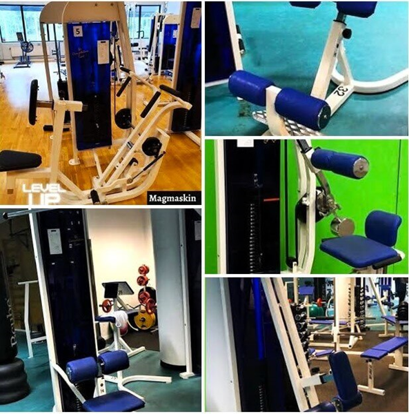 Rowingmaskin CLFitness-Precor - back-extension-ländryggsmaskin-cl-fitness-collage-1-1.jpg