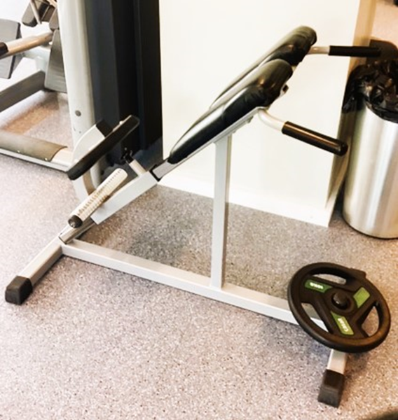 Ryggresare 45 grader Nordic Gym - Ryggresning 45 grader 2016 Nordic Gym368.jpg