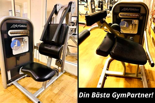 Life Circuit Komplett Gym-2025-Abs -lårcurl