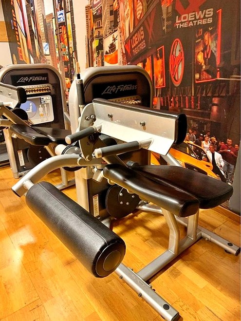 Life Circuit Komplett Gym-2025-Abs