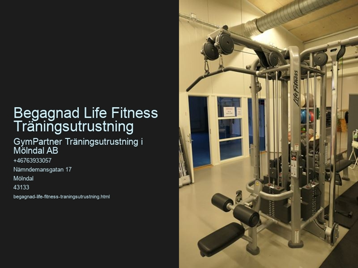 5-Stationers Multigym-Signature MJ5 LifeFitness - life-fitness-femstationers-multigym-2-1-scaled.jpeg