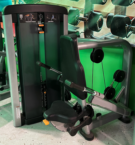 Dipsmaskin-Tricepspress Insignia LifeFitness - Life Fitness Arm extension Insignia 2.jpg