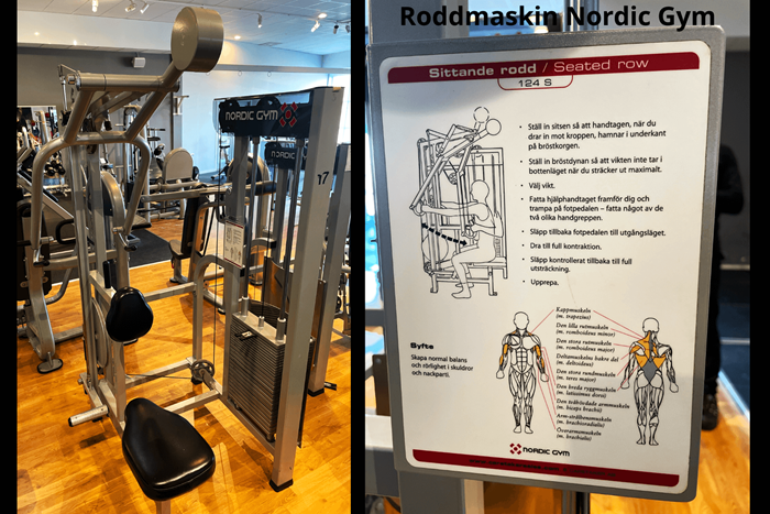 Sittande rodd Nordic gym - Roddmaskin Nordic Gym (1).png