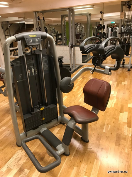 Magmaskin Technogym Bordeaux färg - Abdominal Crunch-Magmaskin Selection Line.jpg