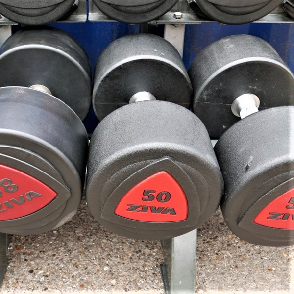 Hantlar Ziva 50kg i högsta gymkvalitet - Hantlar Ziva 50kg i högsta gymkvalitet.jpg