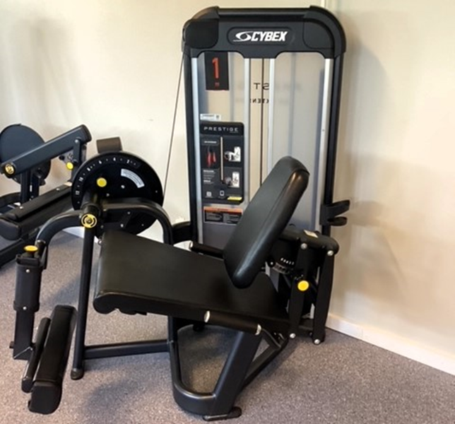 Benspark VR3 Cybex - Leg extension361.jpg