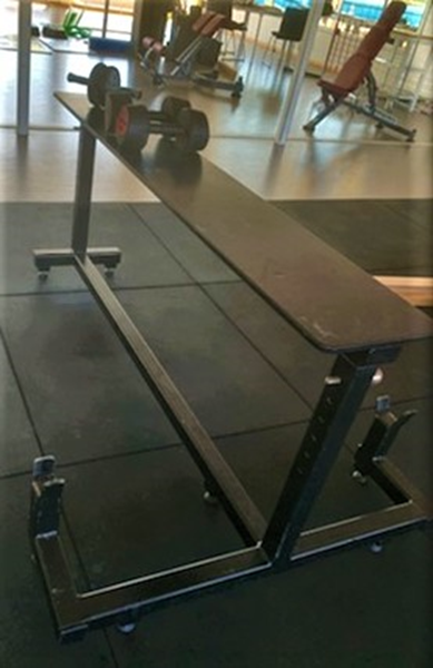 Sälroddsbänk Eleiko - sälroddsbänk-ryggträning-marbo-fitness-2.jpg