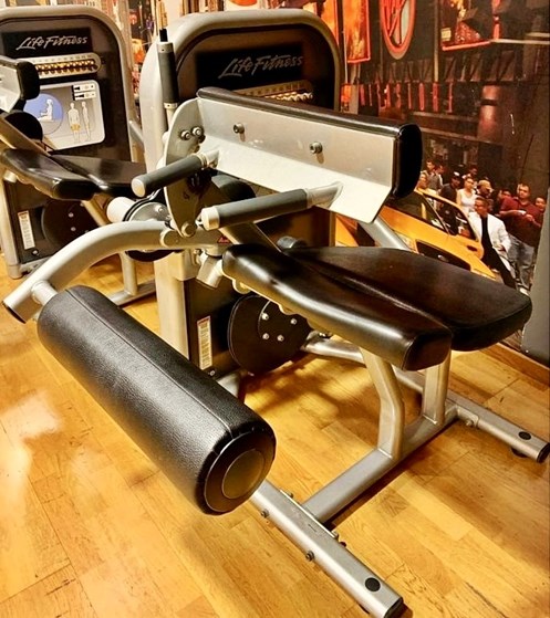 Life Circuit Komplett Gym-2025-Bencurl