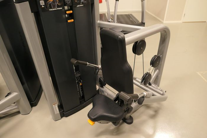 Dipsmaskin-Tricepspress Insignia LifeFitness - dipsmaskin-tricepspress-insignia-lifefitness (1).jpg