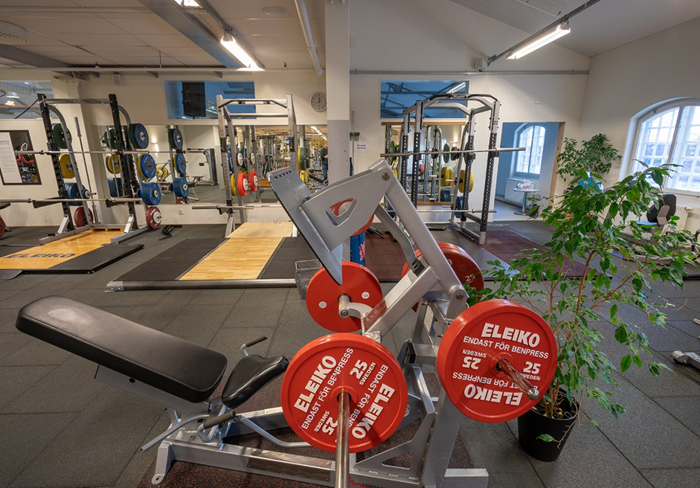 Benpress 45 grader Eleiko - Eleiko-3.jpg