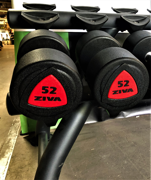 Hantlar Ziva 52kg i högsta gymkvalitet - Hantlar Ziva 52kg i högsta gymkvalitet.jpg