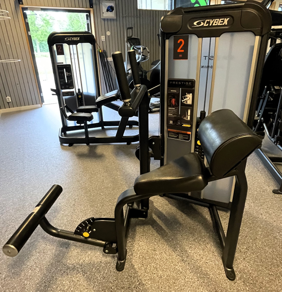 Abdominal PRESTIGE Cybex - magmaskin-cybex3b1.jpg (2)