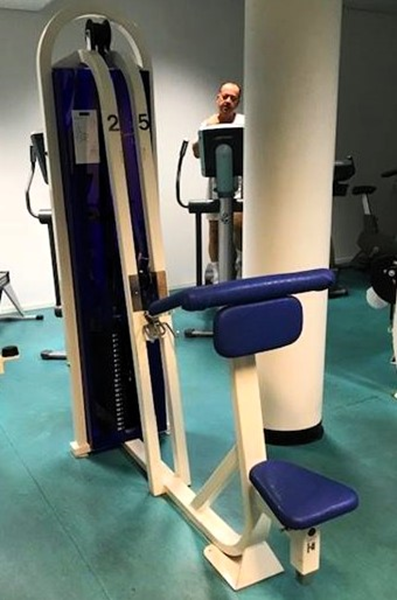 Armcurl-Bicepscurl-maskin CL Fitness - CL FITNESS 2023-9.jpg