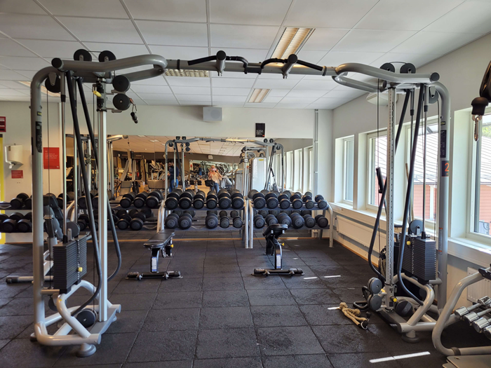 Begagnad Cablecross Silverline Technogym  - Cable cross Selectionline-Technogym. (1).jpg