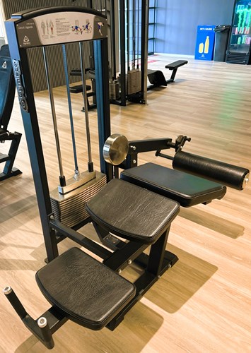 Lårcurl liggande Gymleco Active line 2025