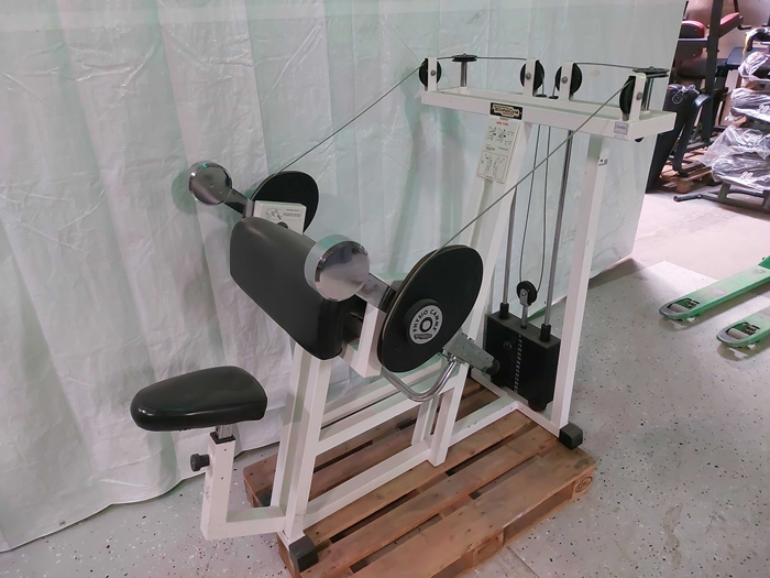 Bicepscurl Isotonic line Technogym - Armcurl- Biceps Technogym.jpeg