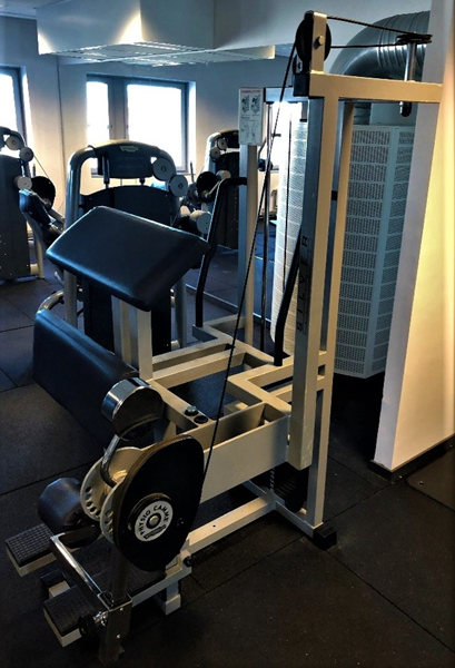 Lårcurl Stående Silverline Technogym - Standing-leg-curl-Technogym-2.jpg