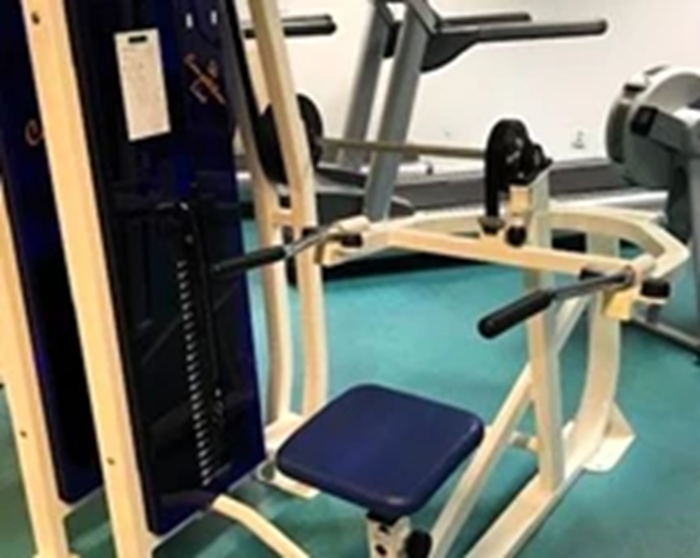 Komplett gym-CLFitness Storbank - dipsmaskin-cl-fitness-tricepspress2-1.webp
